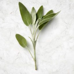 Salbei Produktbild